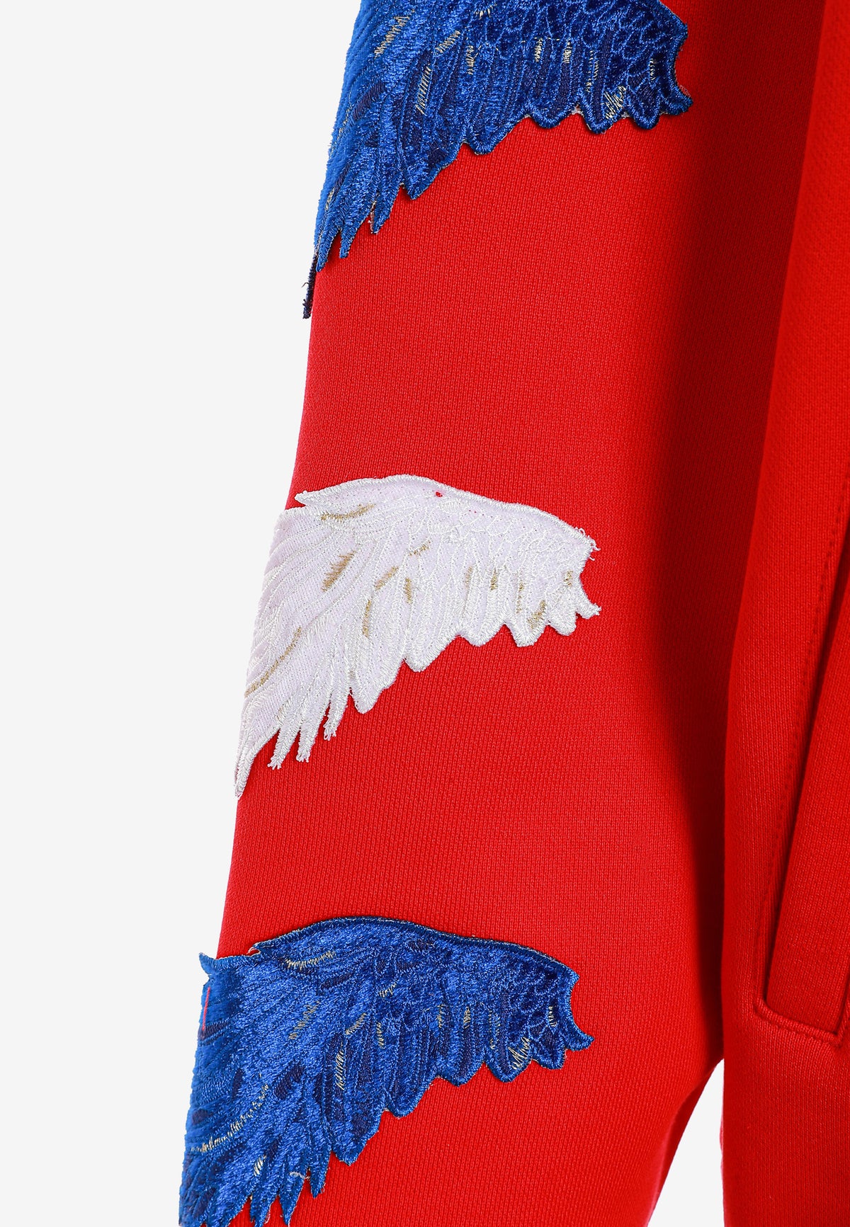 Sudadera con capucha Wings de corte relajado con Mini Wings en mangas y alas de strass en la espalda | MWM [PS_COLORS:RED]