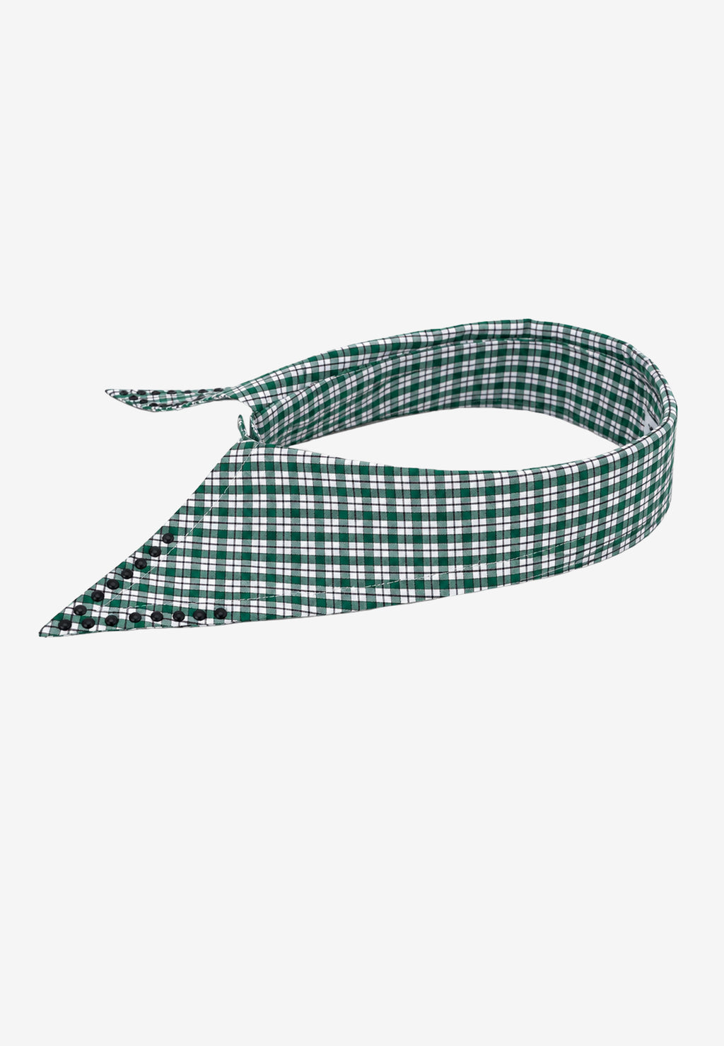 Sobrecuello de camisa con tachuelas | MWM [PS_COLORS:GREEN]