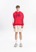 MWM EMBROIDERED WINGS HOODIE