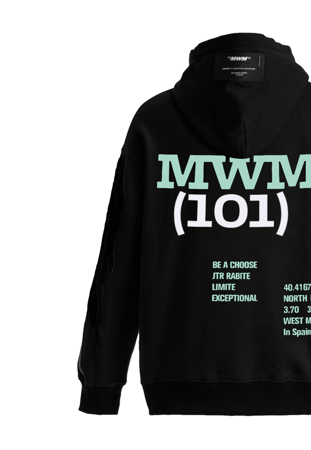 MWM EMBROIDERED WINGS HOODIE