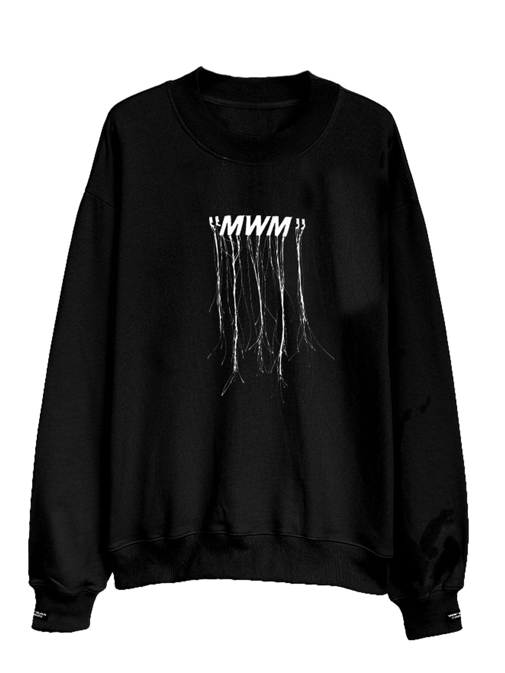 EMBROIDERED WINGS SWEATSHIRT