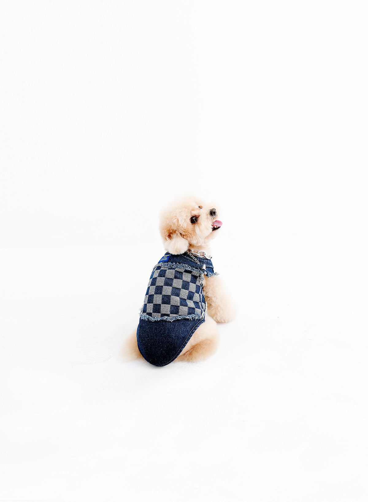 MIKE TEDDY PET CLOTHES