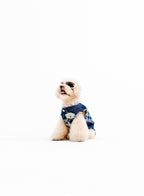 MIKE TEDDY PET CLOTHES