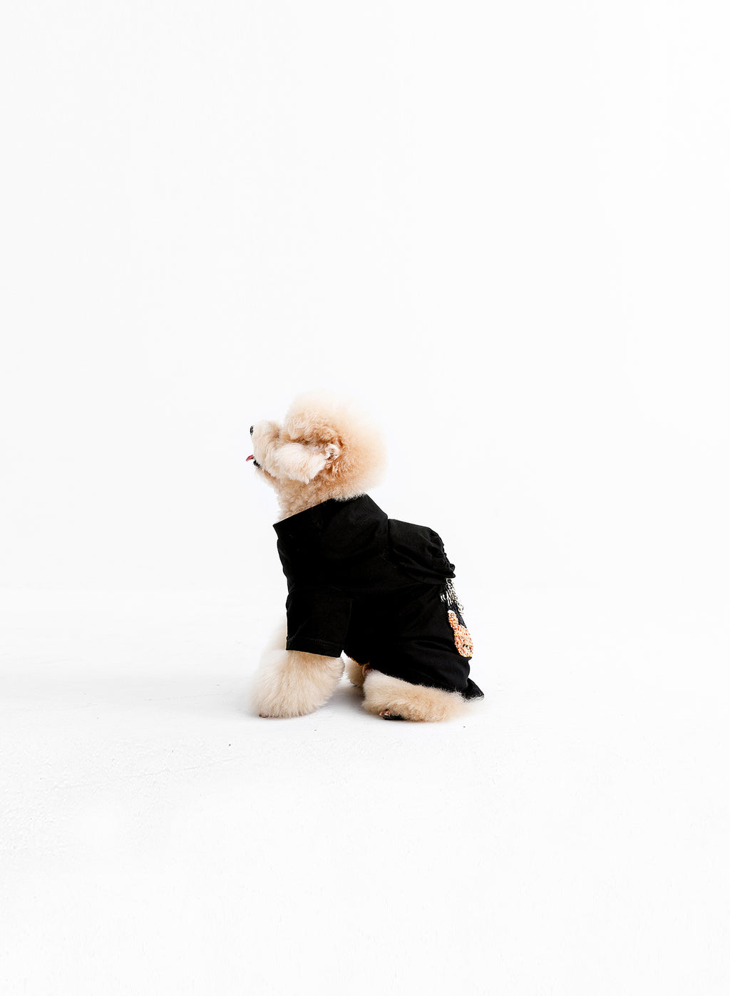 MIKE TEDDY PET CLOTHES