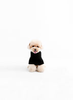 MIKE TEDDY PET CLOTHES